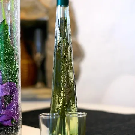 Stone House Biskup Babino Polje